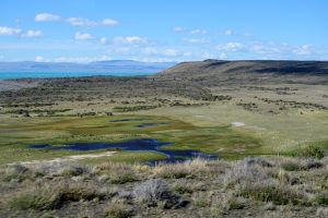 Wetlands bij El Calafate