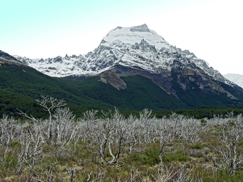 Brandsporen langs de trail