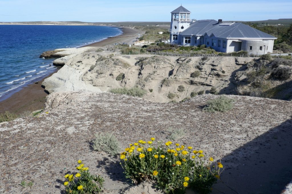 Kust bij Puerto Madryn