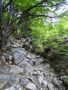 Het begin van de laatste kilometer
